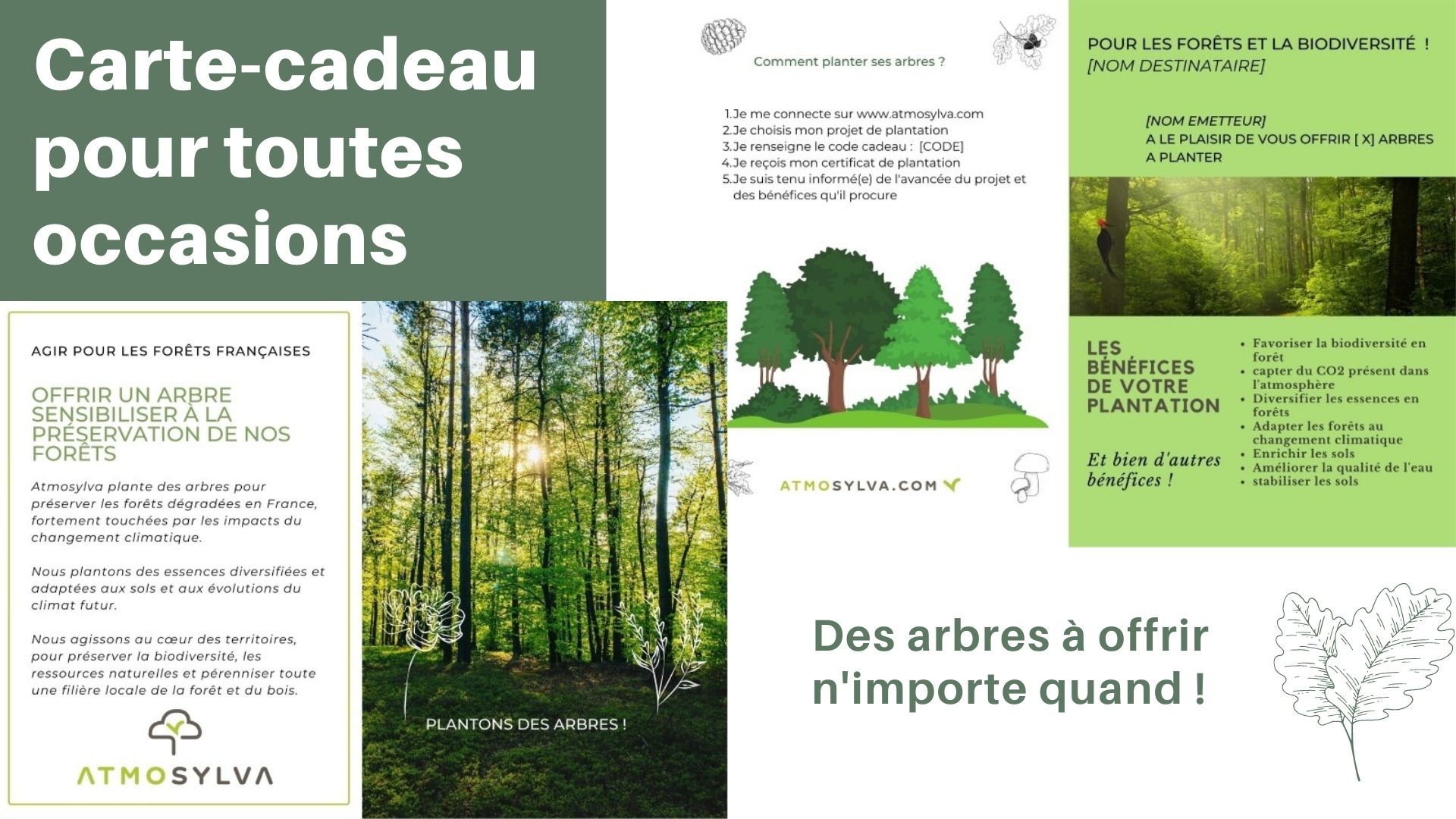 carte cadeau Planter des arbres