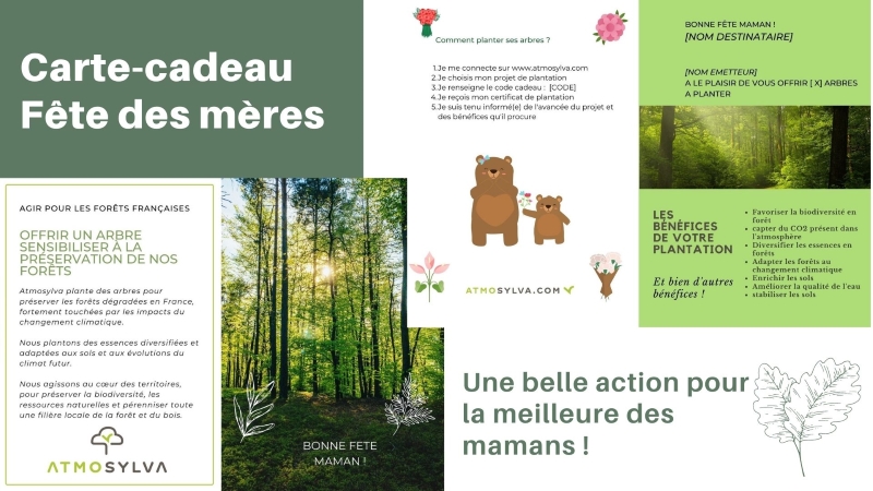 Carte cadeau Fête des mères