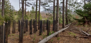 Des plantations dédiées et sur-mesure