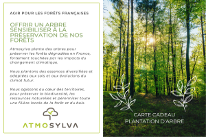 Tree plantation gift card