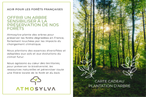 Cartes cadeau plantation d'arbre