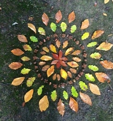 Art and forest