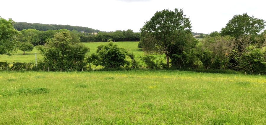 Mayenne landscape