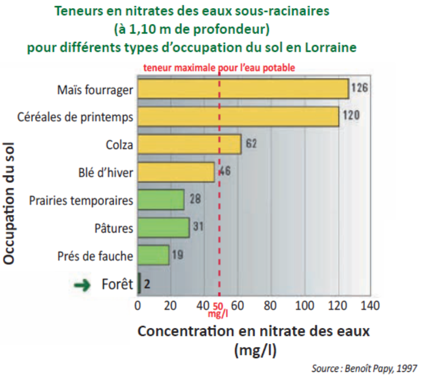 Teneur en nitrate des sols