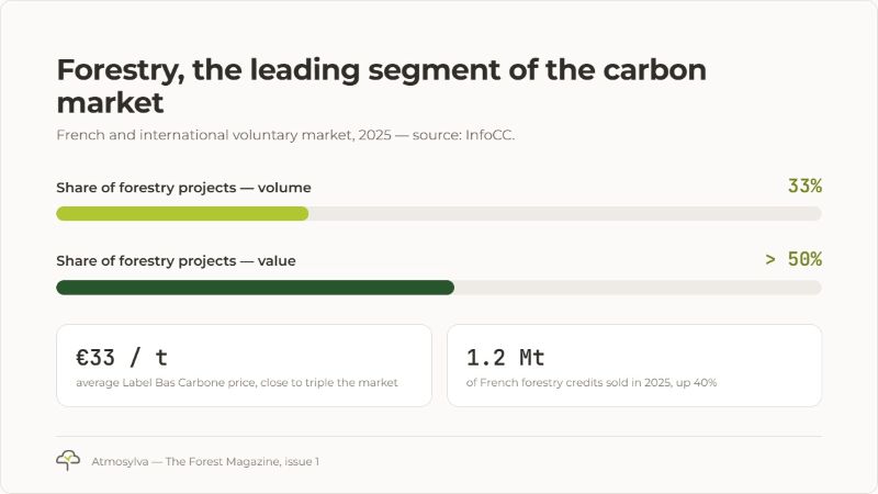 Forestry, the leading segment of the carbon market