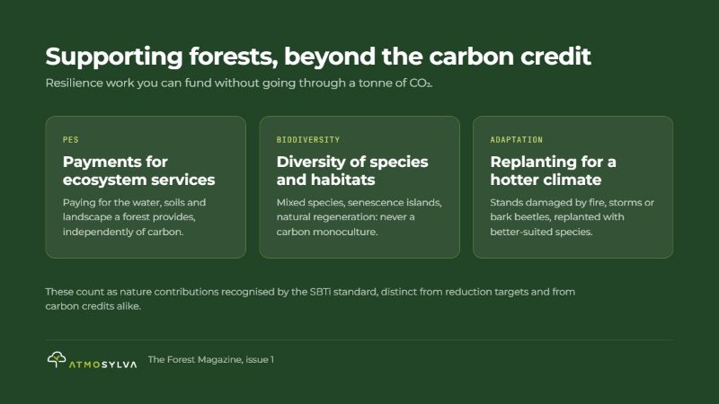 Supporting forests, beyond the carbon credit