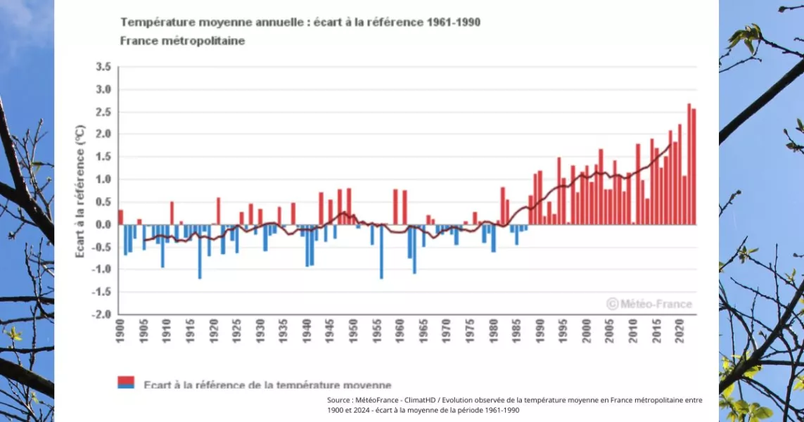 Température moyenne annuelle Météo France