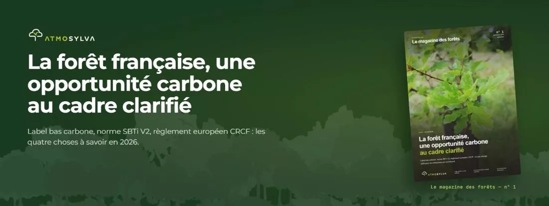 Forêt française opportunité carbone au cadre qui se clarifie