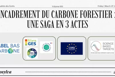 Encadrement du carbone forestier : une saga en 3 actes