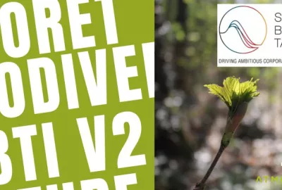 SBTi V2 : réduire ses émissions et restaurer la forêt