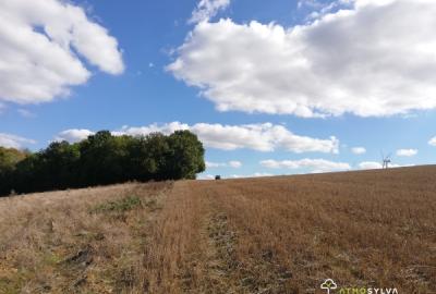 plot to be afforested  beauvoir-en-lyons 1