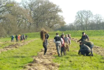 Plantation La chapelle Glain 1