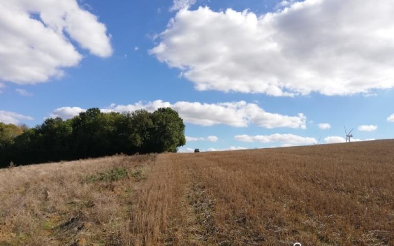 plot to be afforested  beauvoir-en-lyons 1