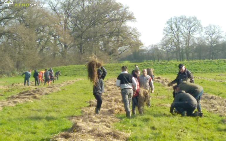 Afforestation La chapelle Glain 1